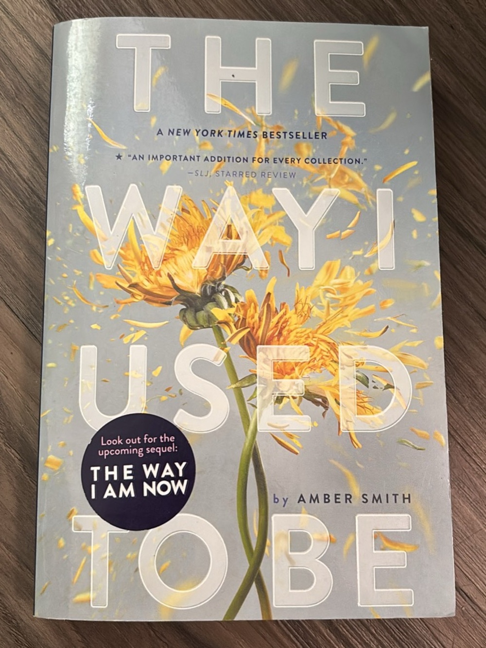 The Way I Used to Be by Amber Smith - Yellow Floral Paperback